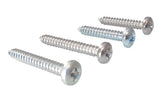 Great Vigor TP Screw 3 x 25mm  (10)