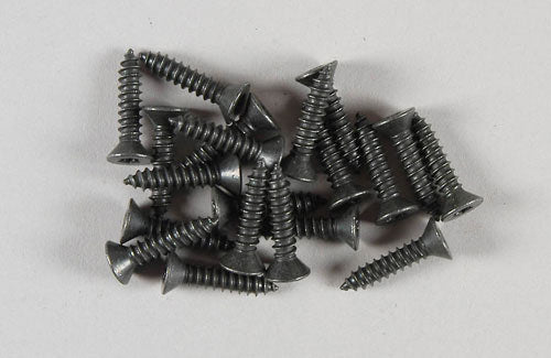 FG Modellsport Car Spares Csk Tp Screw + Torx 4.2x19 (Pk20)  06912/19 (Box 38)