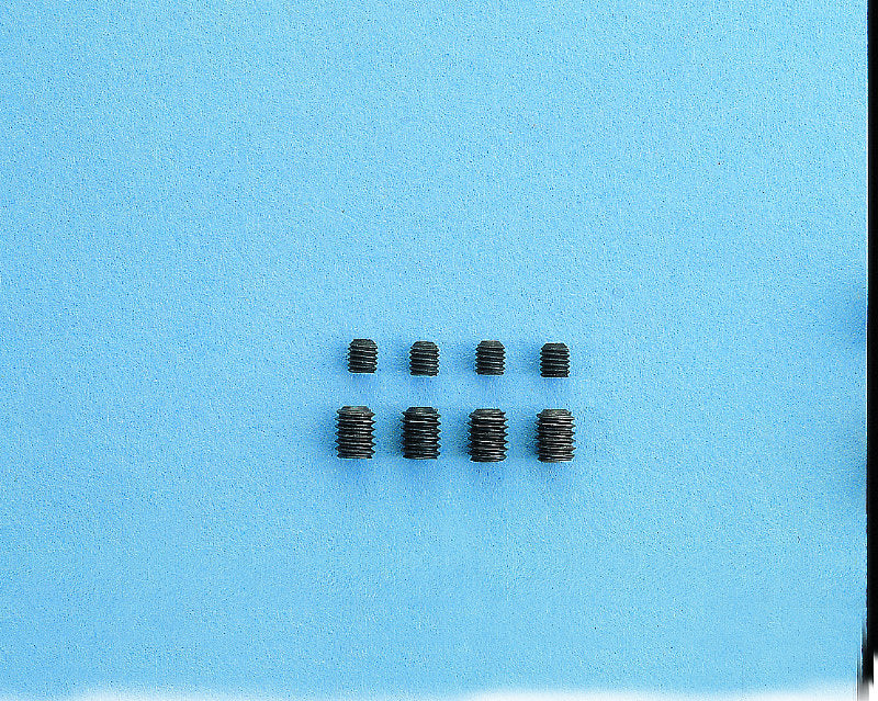 Grub Screw M3x4 VE10