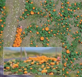 Busch Pumpkin Field Kit - 00 Gauge