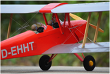 VQ Tiger Moth DH-82 55 Inch (EP/GP) ARF