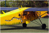 VQ Pilatus PC-6 Porter ARF (Tiger)