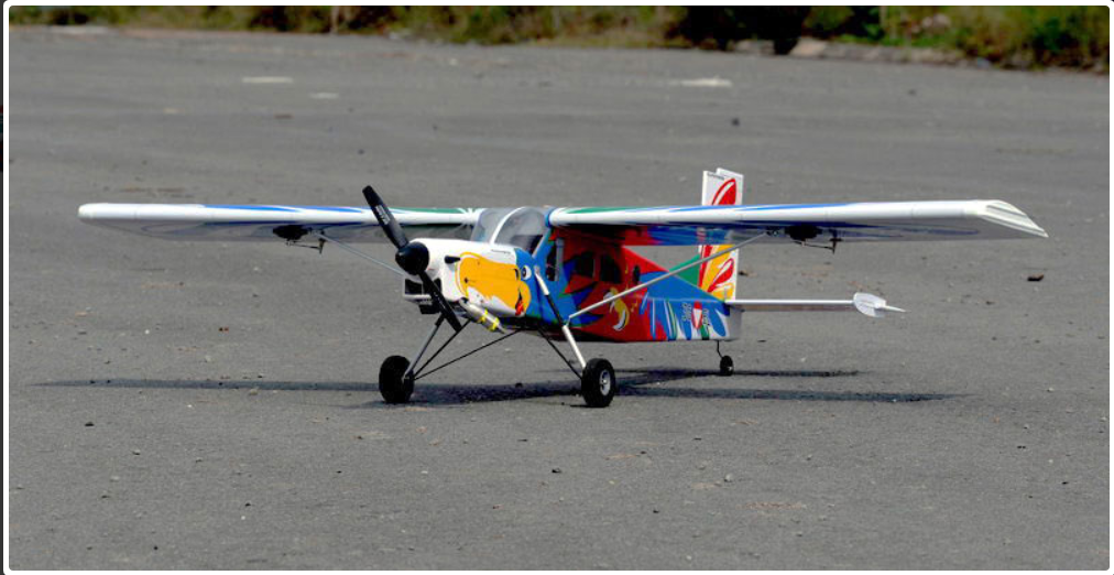 VQ Pilatus PC-6 (Bird Version) 62.2 Inch ARF (EP/GP)