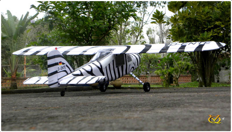 VQ Dornier Do 27 (Zebra) 63 Inch ARF