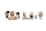 Bachmann Scenecraft 36-083 Sheep - 00 Gauge