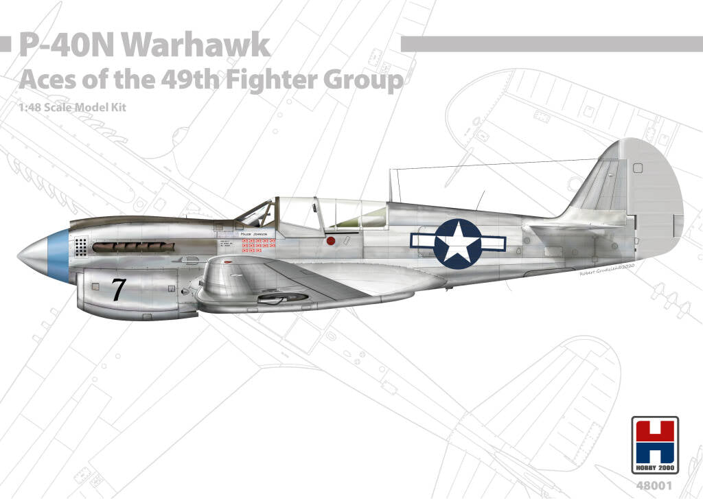 Hobby 2000 1/48 P-40N Warhawk Aces of The 49th Fighter Group 48001