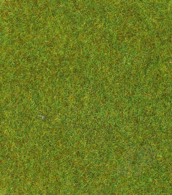 30901 Light Green Grassmat 75 x 100cm