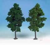 1202 2 Beech Trees 19cm (Dark Green)