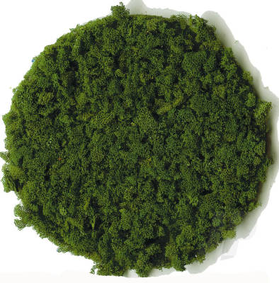 3389 Dark Green Foam Granules Large