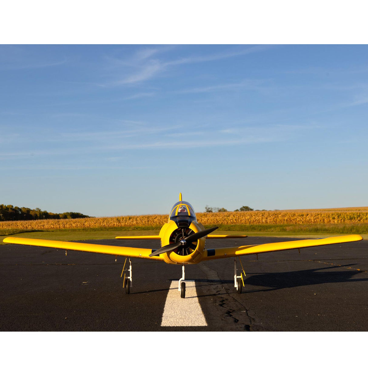 E-Flite Carbon-Z T-28 Trojan 2.0m BNF Basic with AS3X and SAFE Select