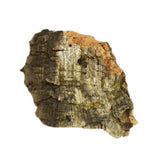 JMCB JAVIS MEDIUM CORK BARK