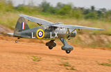 Black Horse Lysander ARTF 35cc