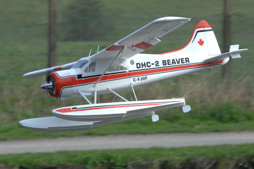 ST Model Float Set - Beaver