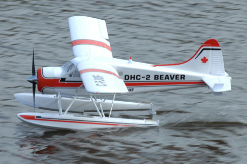 ST Model Float Set - Beaver