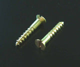 PK.100 BRASS 1g x 1/2 Inch SELF TAPPING SCREWS