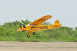 Black Horse Piper Cub ARTF