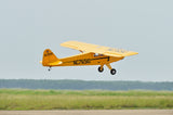 Black Horse Piper Cub ARTF