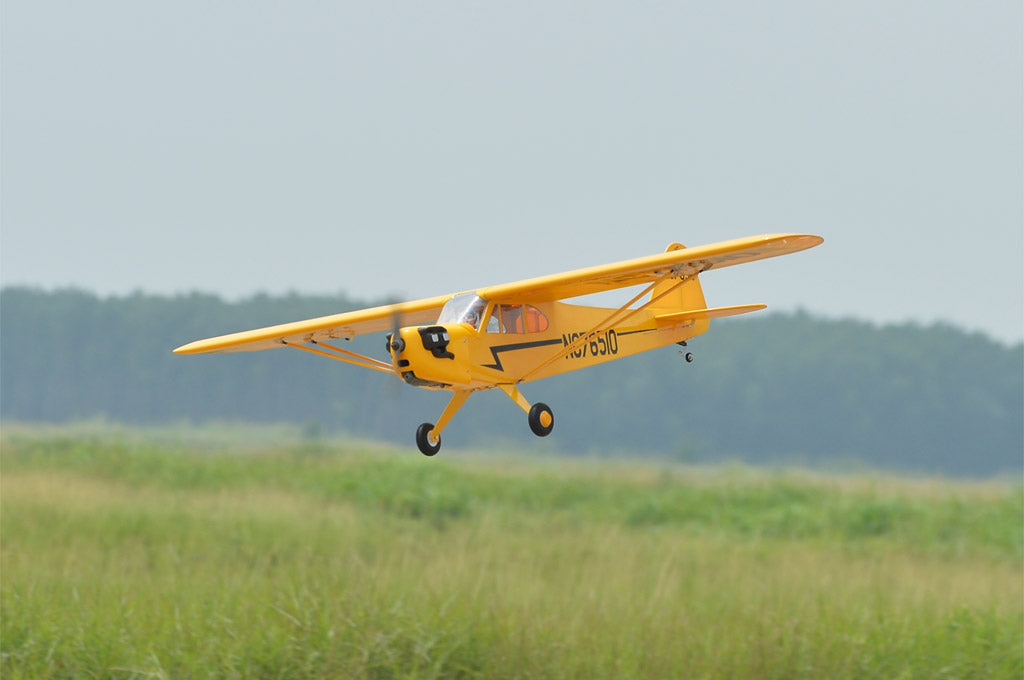 Black Horse Piper Cub ARTF