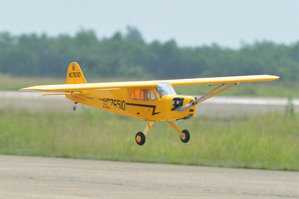 Black Horse Piper Cub ARTF