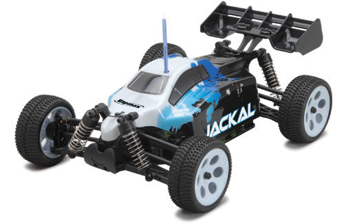 Ripmax Jackal 1/18th Buggy EP