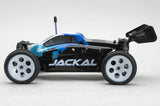 Ripmax Jackal 1/18th Buggy EP