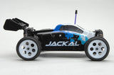 Ripmax Jackal 1/18th Buggy EP