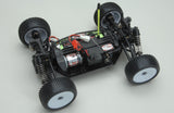 Ripmax Dingo 1/18th Truggy EP Euro