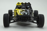 Ripmax Coyote 1/18th Buggy EP Euro