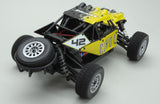 Ripmax Coyote 1/18th Buggy EP Euro