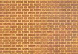 PACK OF 2  2MM FLEMISH BOND BRICK