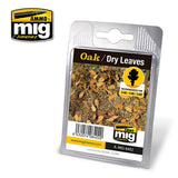 OAK DRY LEAVES