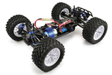 FTX Bugsta 1/10 4WD Brushed Buggy