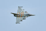 FMS 64MM RAFALE EDF ARTF With REFLEX With Out TX/RX/BATT/Charger