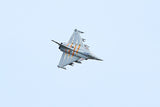 FMS 64MM RAFALE EDF ARTF With REFLEX With Out TX/RX/BATT/Charger