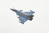 FMS 64MM RAFALE EDF ARTF With REFLEX With Out TX/RX/BATT/Charger