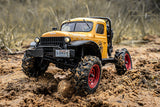 FMS FCX 1/24TH POWER WAGON SCALER Ready To Run - YELLOW