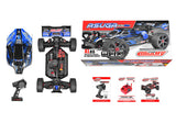 CORALLY ASUGA XLR 6S BRUSHLESS BUGGY RTR - BLUE