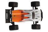 FTX TRACER 1/16 4WD TRUGGY TRUCK Ready To Run - ORANGE