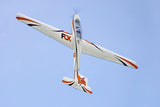 FMS 3000MM FOX GLIDER ARTF W/O TX/RX/BATT