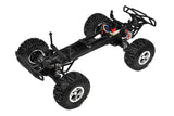 CORALLY MAMMOTH SP 2WD TRUCK 1/10 BRUSHED RTR