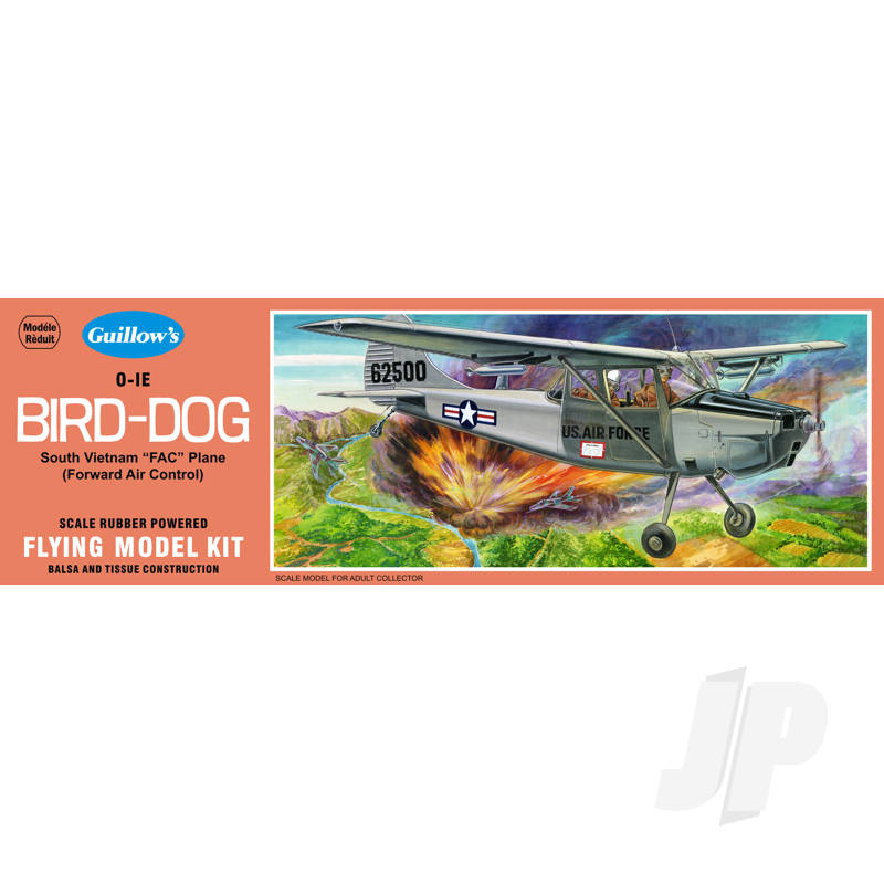 Bird Dog