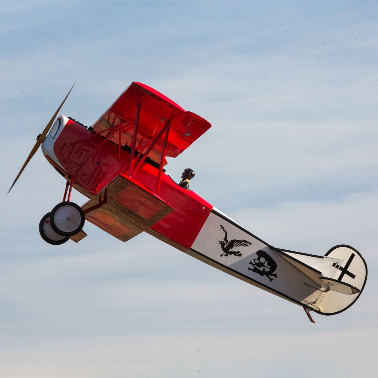 Hanger 9 Fokker D VII 30-60cc ARF