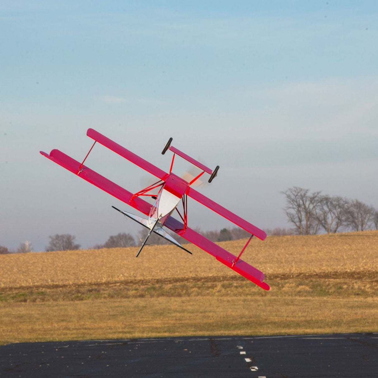 Hanger 9 Fokker D VII 30-60cc ARF