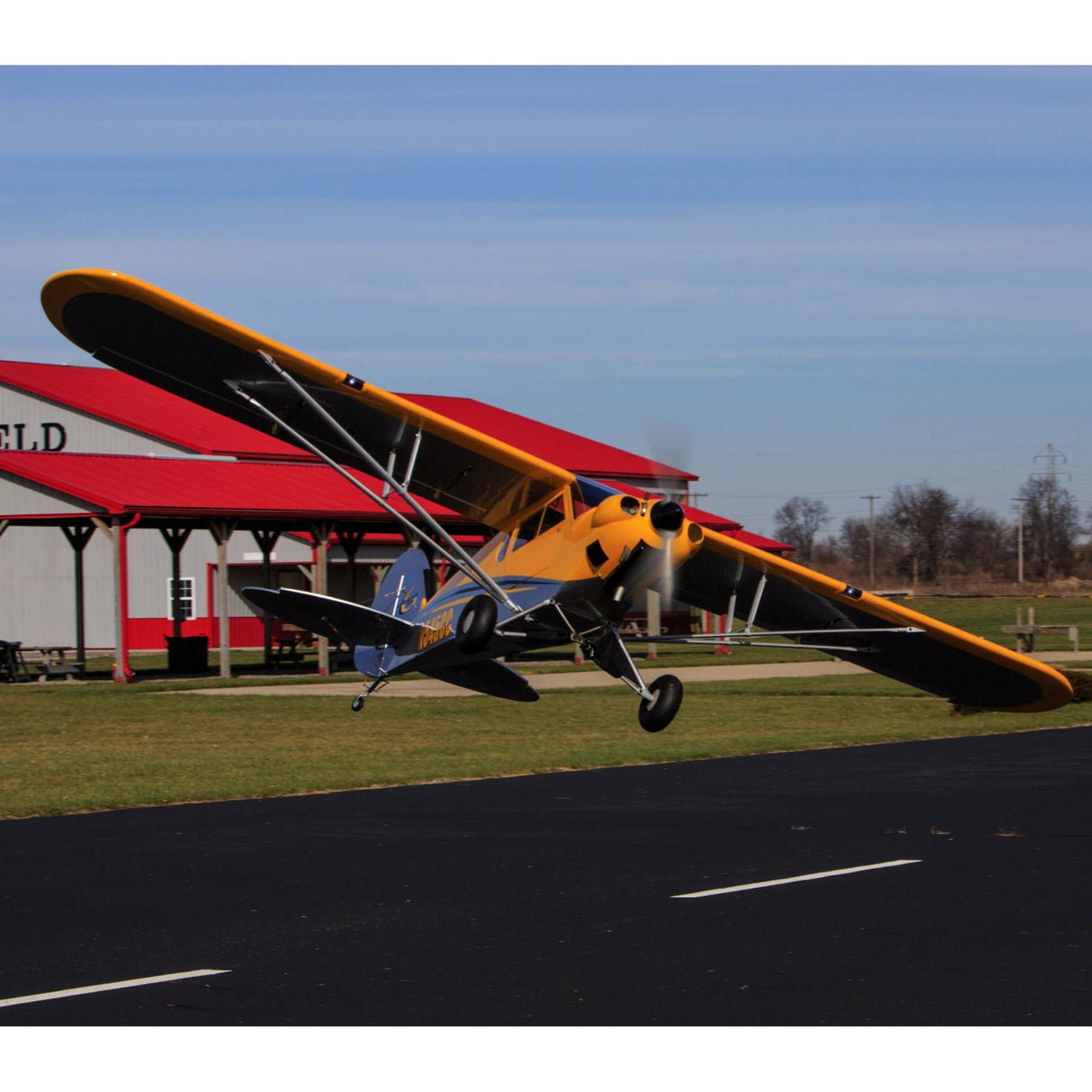 Hangar 9 Carbon Cub 15cc ARF (Bundle With 1/5 Scale Floats & 25% J-3 Cub Pilot)