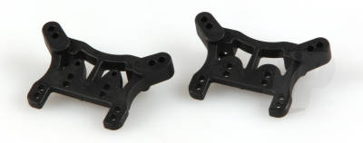 Front & Rear Shock Towers (Animus) (box1)