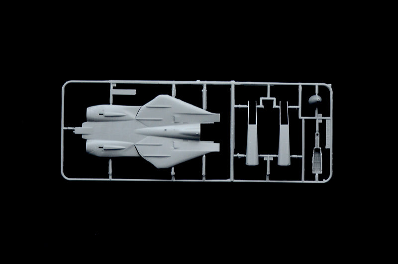 Italeri 1/72 Grumman F-14A Tomcat IT1414