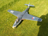 RBC Hawker Sea Hawk EDF