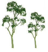 Professional Tree Gum 2 Inch (4)