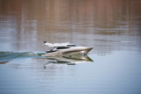 Graupner 72ft Concept Yacht - ARTF - SPECIAL - SLIGHT DAMAGE - SEE  PICTURES
