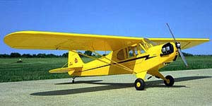 Sig piper cub on sale